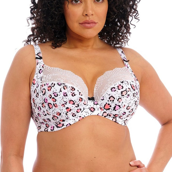 New Elomi Bras on Sale  Your Bra Store – Your Bra Store