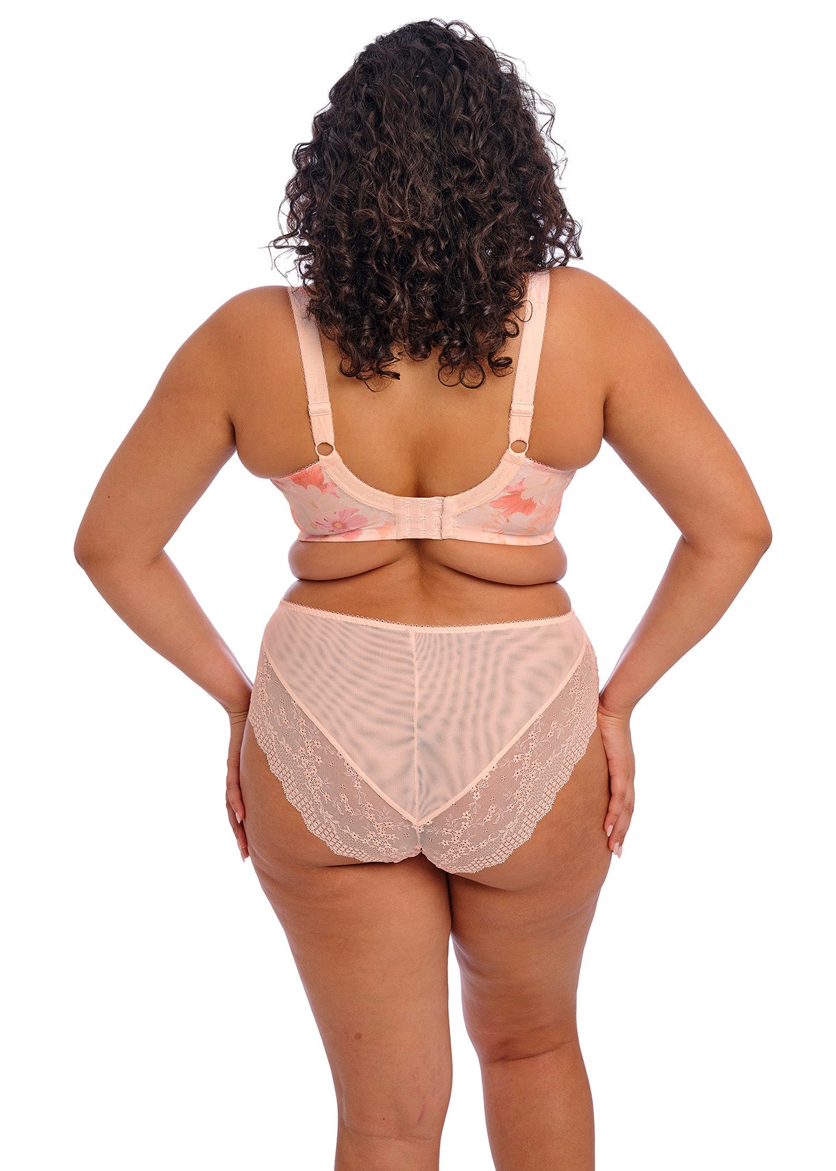 Elomi Lucie High Leg Brief-Cosmos Bra Fittings by Court