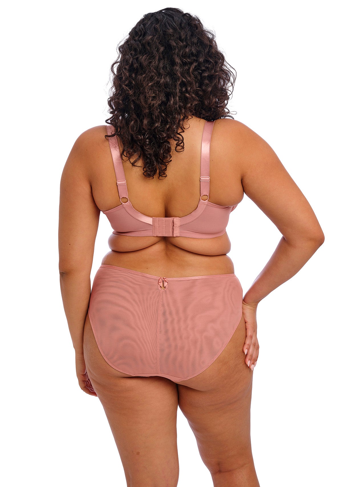 Elomi Teagan High Leg Brief- Ash Rose Bra Fittings by Court