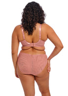 Elomi Teagan High Leg Brief- Ash Rose Bra Fittings by Court