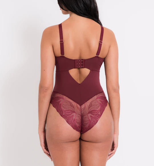 Curvy Kate Scantilly Indulgence Stretch Lace Bodysuit – Bra Fittings by  Court