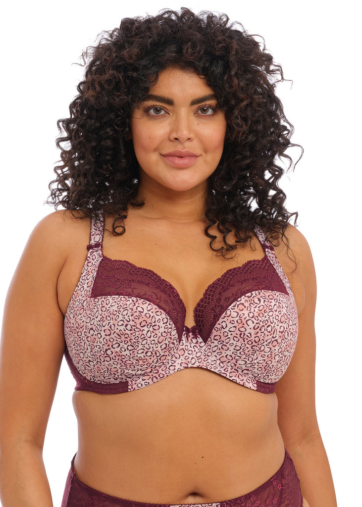 Clearance – Page 2 – Bra Fittings by Court