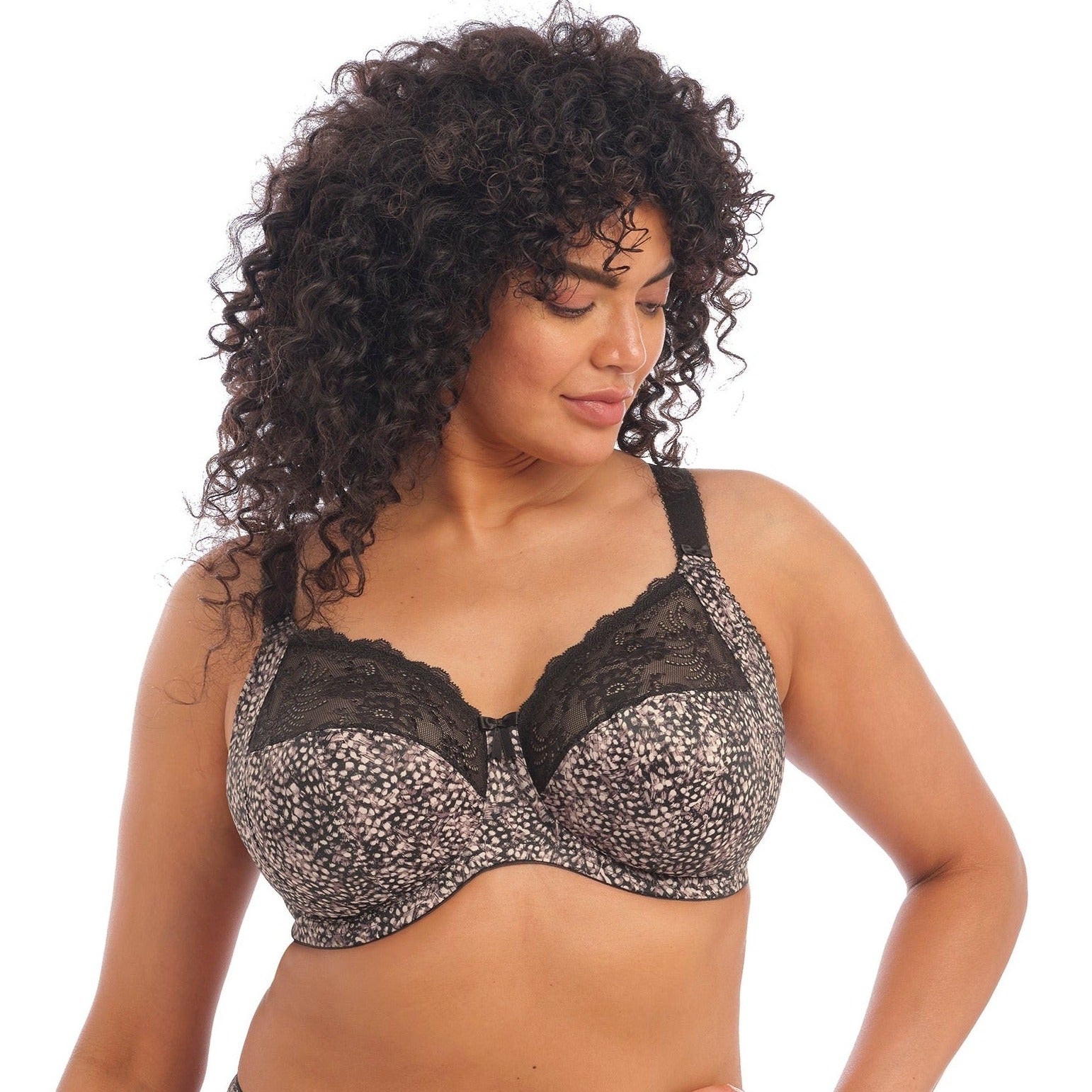 Elomi Morgan Stretch Lace Banded Underwire Bra (4111),40K,Black at   Women's Clothing store