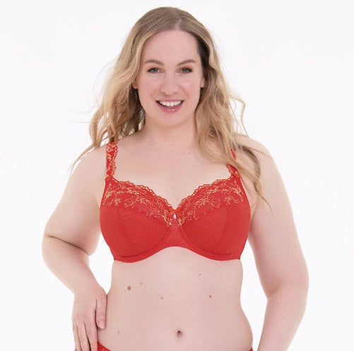 Clearance – Bra Fittings by Court